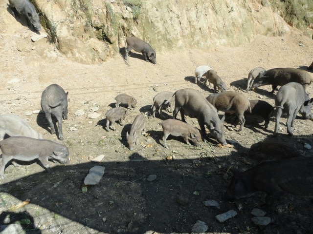 ×ðÁú¶¶È¦(Öйú¹ÙÍø)-Ϊdu¶øÉú