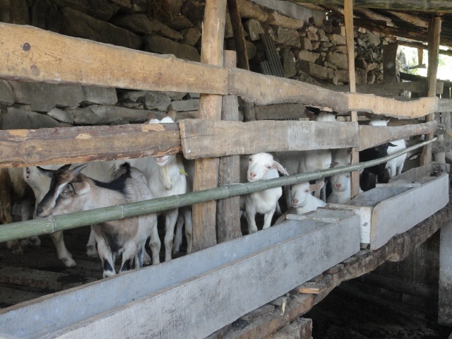 ×ðÁú¶¶È¦(Öйú¹ÙÍø)-Ϊdu¶øÉú