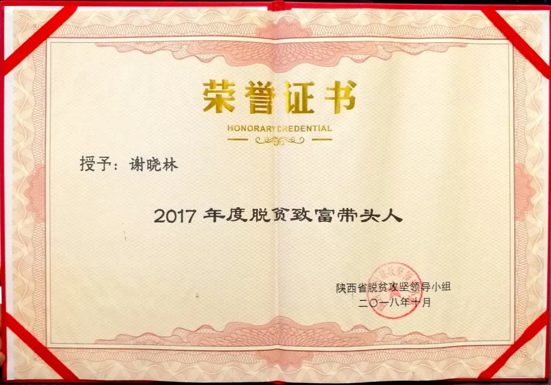 1597216867.jpg 640.webp (67).jpg