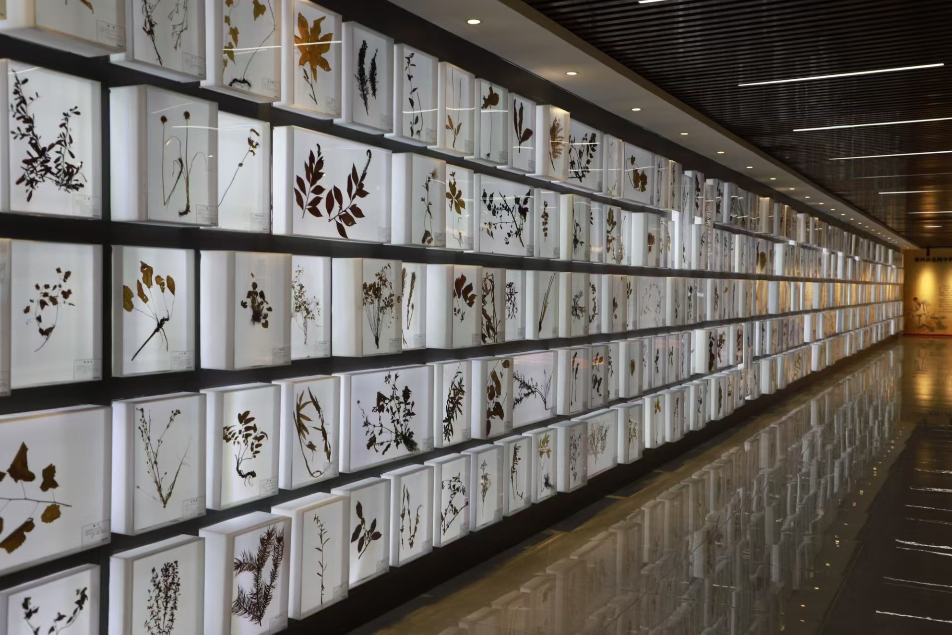 1734944438.jpg 微信图片_20241223161034.jpg