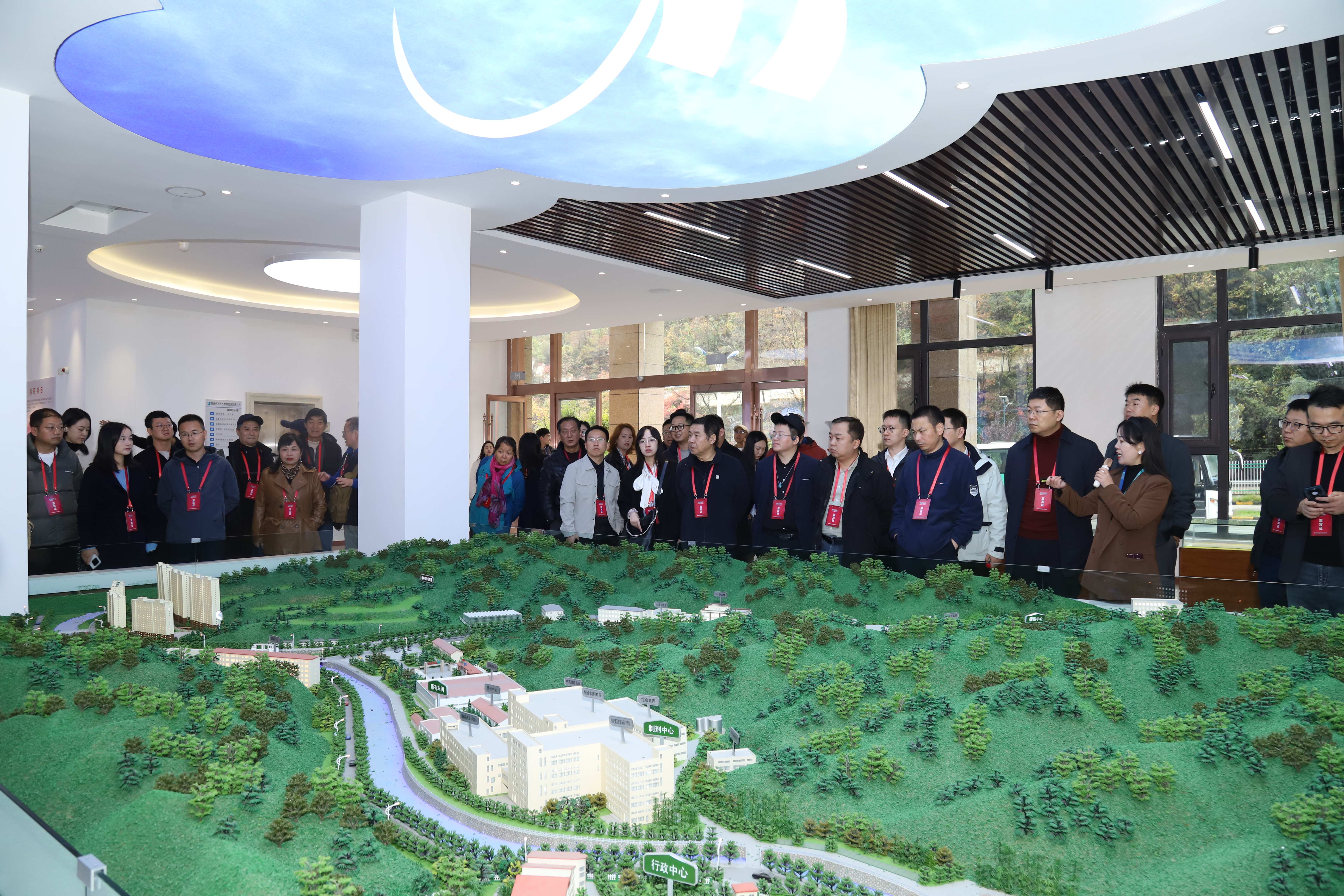 1764232530.jpg 14.jpg